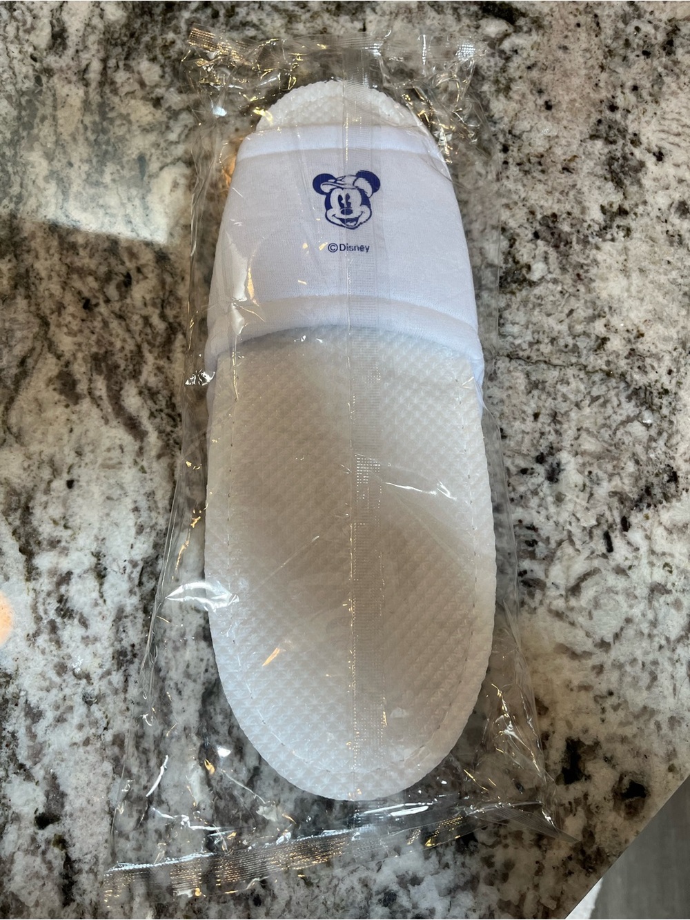 Tokyo  Disney Sea Slippers